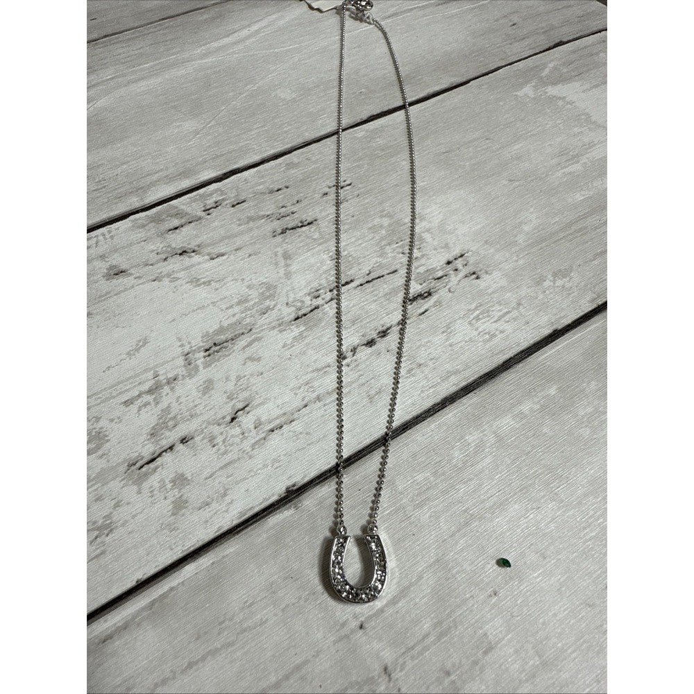 Horseshoe Clear Necklace